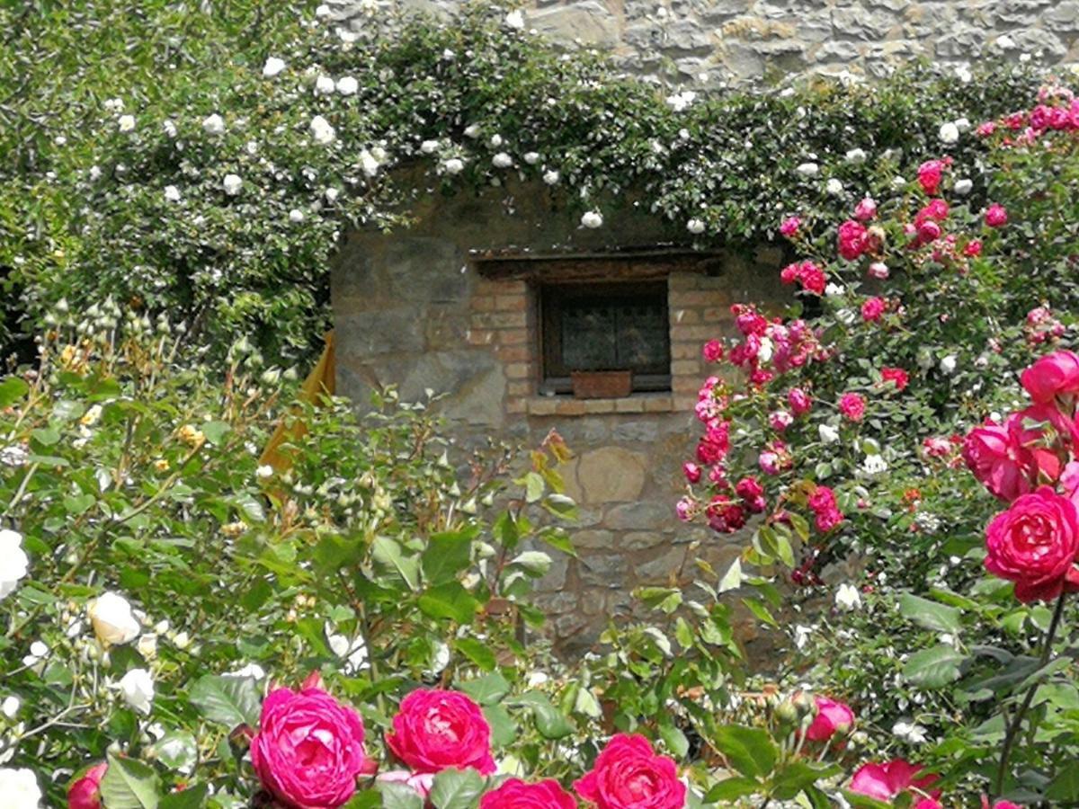 Ca Di Minu Villa Tarzo Buitenkant foto