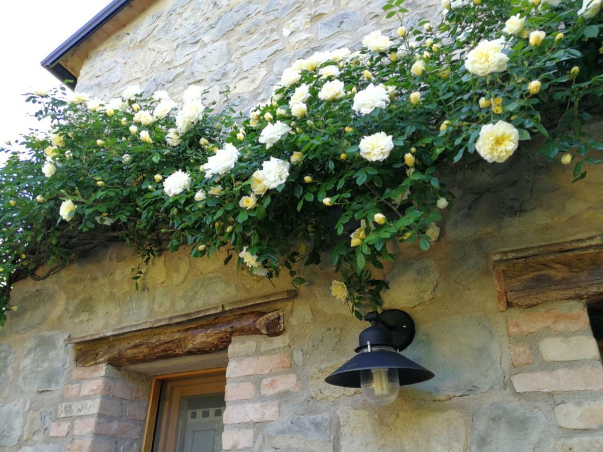 Ca Di Minu Villa Tarzo Buitenkant foto